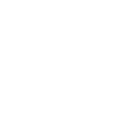 birdwing_icon_white
